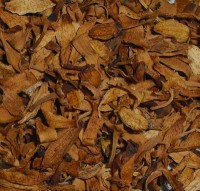 Flor de Laranjeira